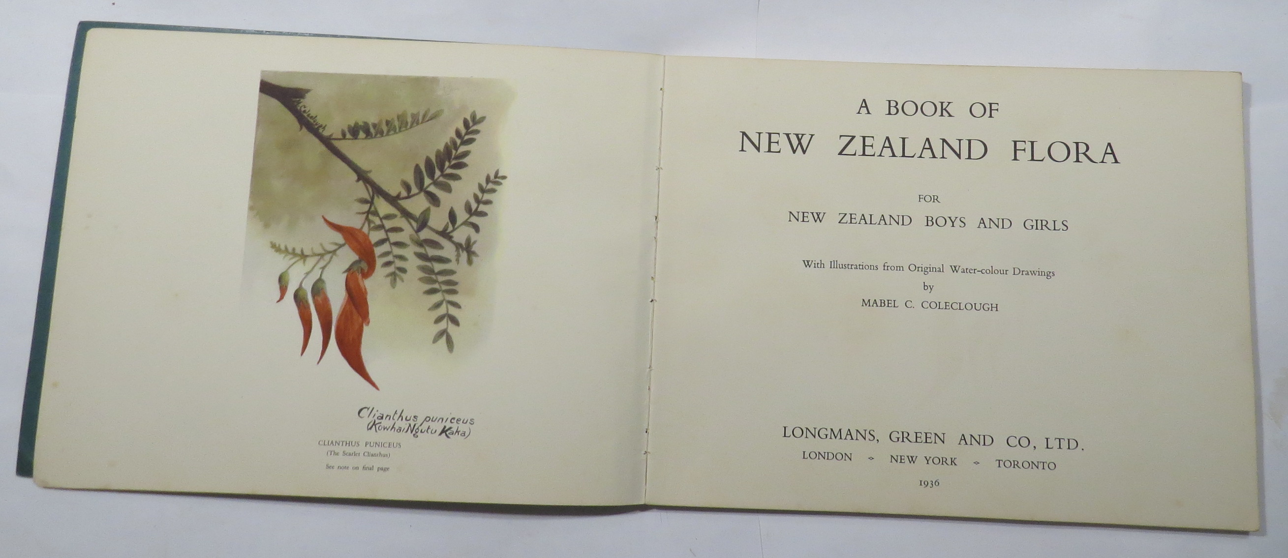 A Book of New Zealand Flora for New Zealand Boys and Girls