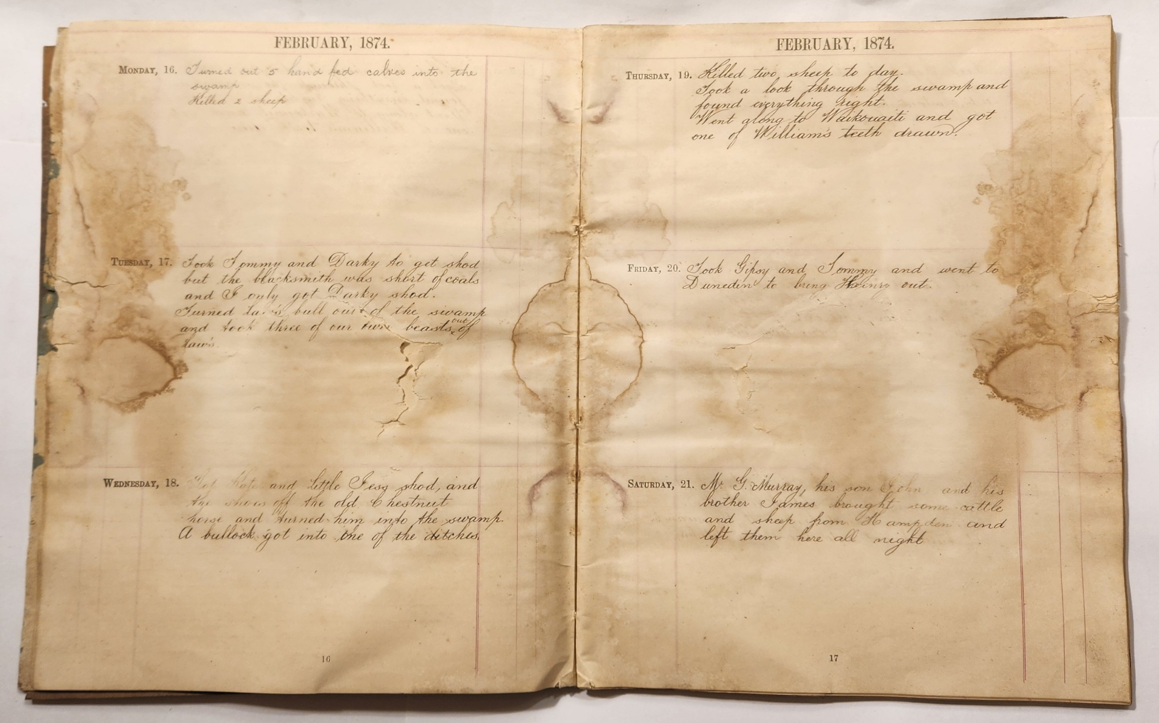 Diary [Manuscript]