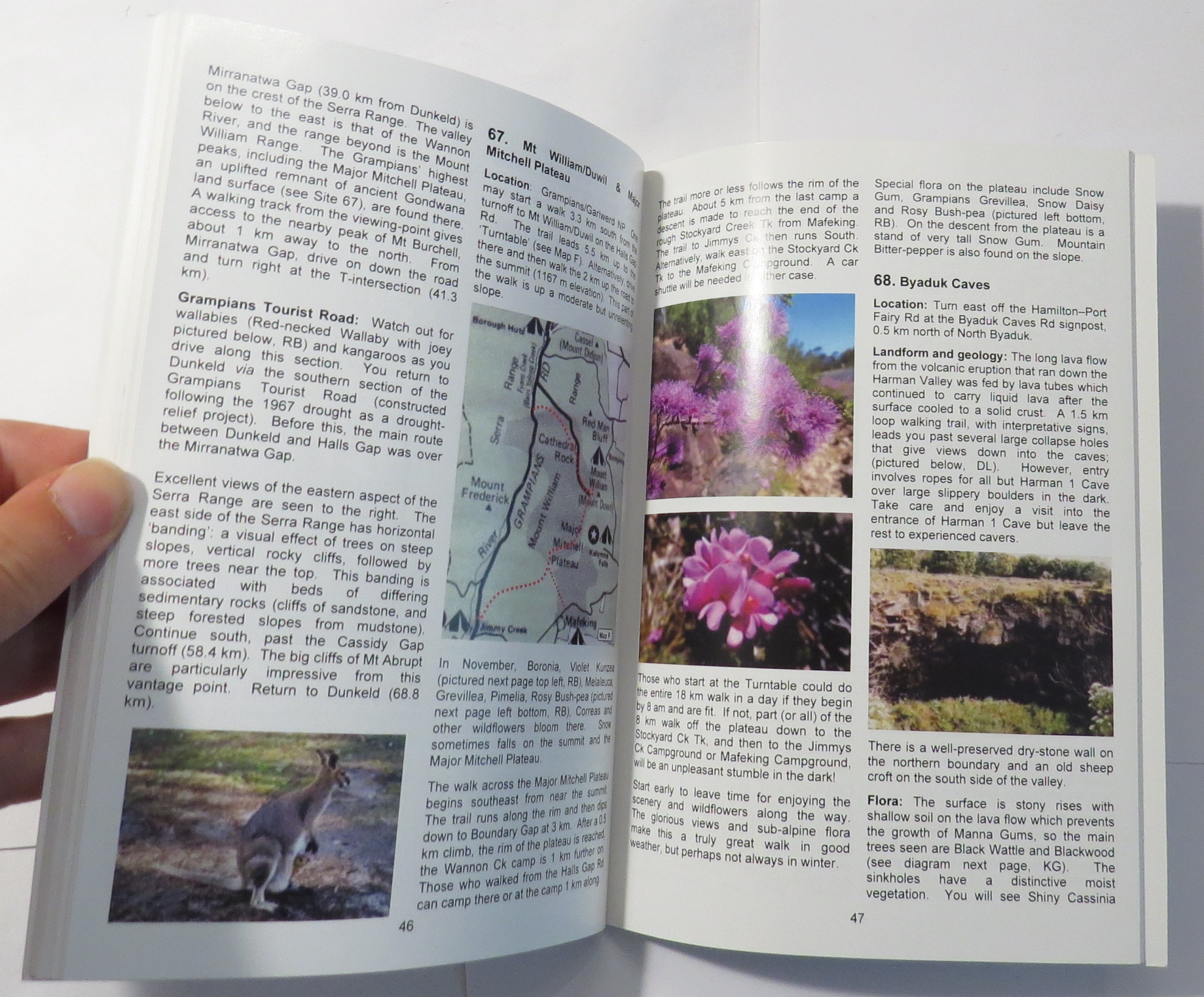 Hamilton Region Nature Guide
