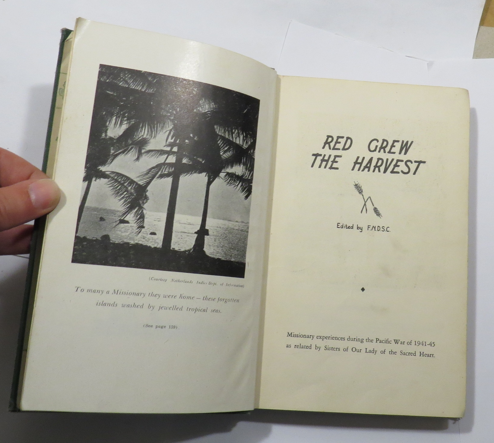 Red Grew the Harvest : Missionary Experiences during the Pacific War of 1941-45 as related by Sisters of Our Lady of the Sacred Heart