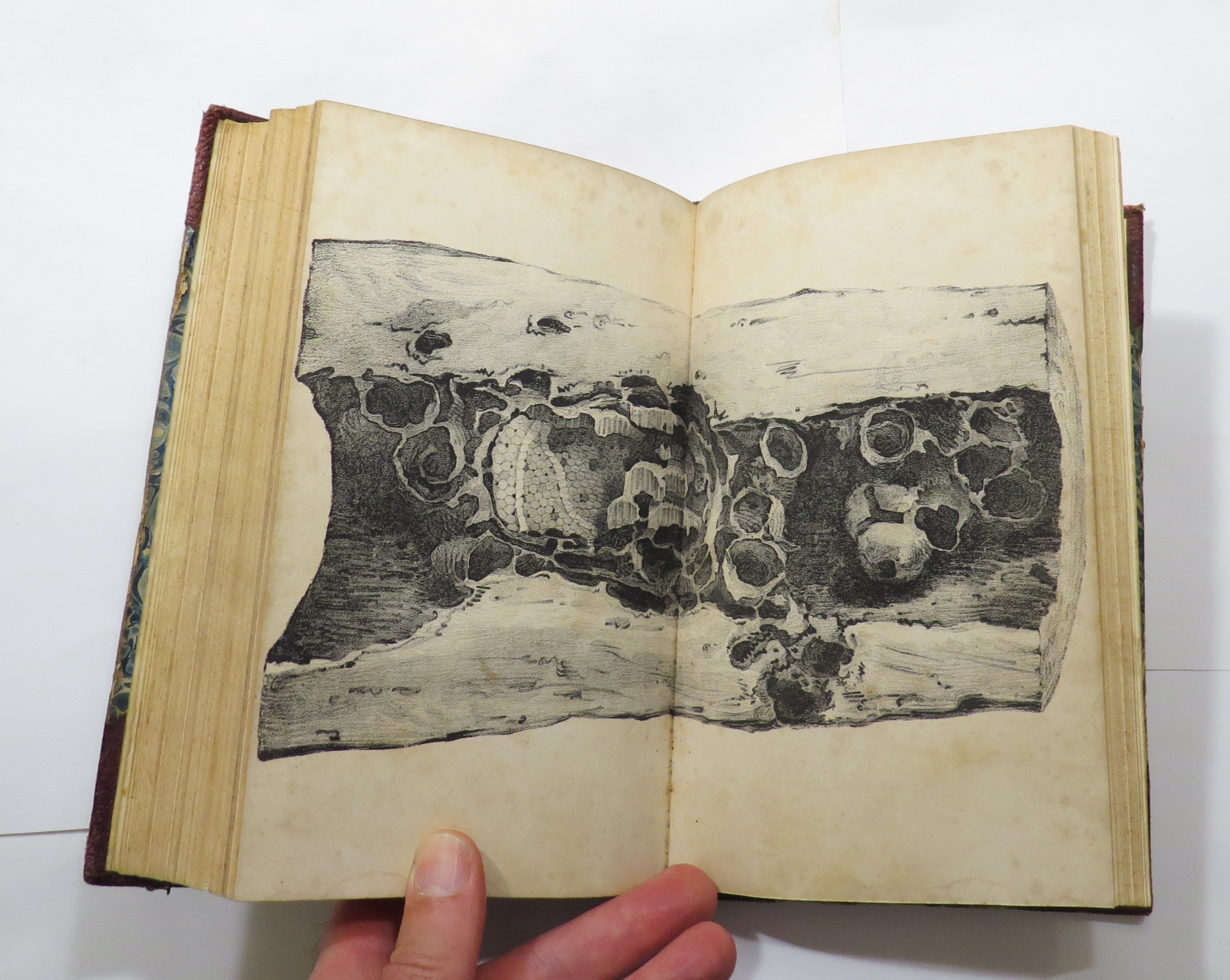 Narrative of a Voyage to the Pacific and Beering's Strait [. . .] [Volume Two only]