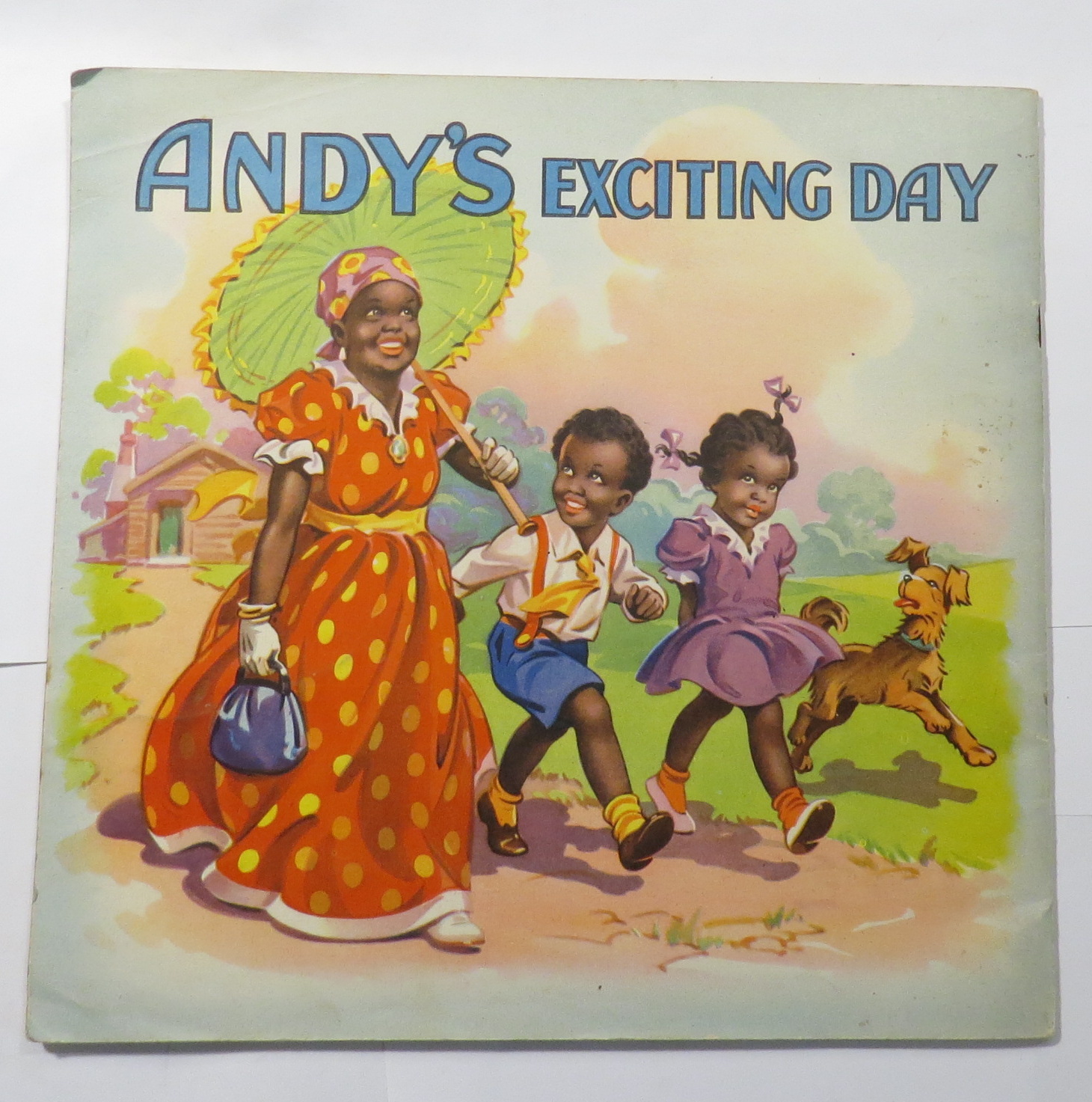 Andy's Exciting Day