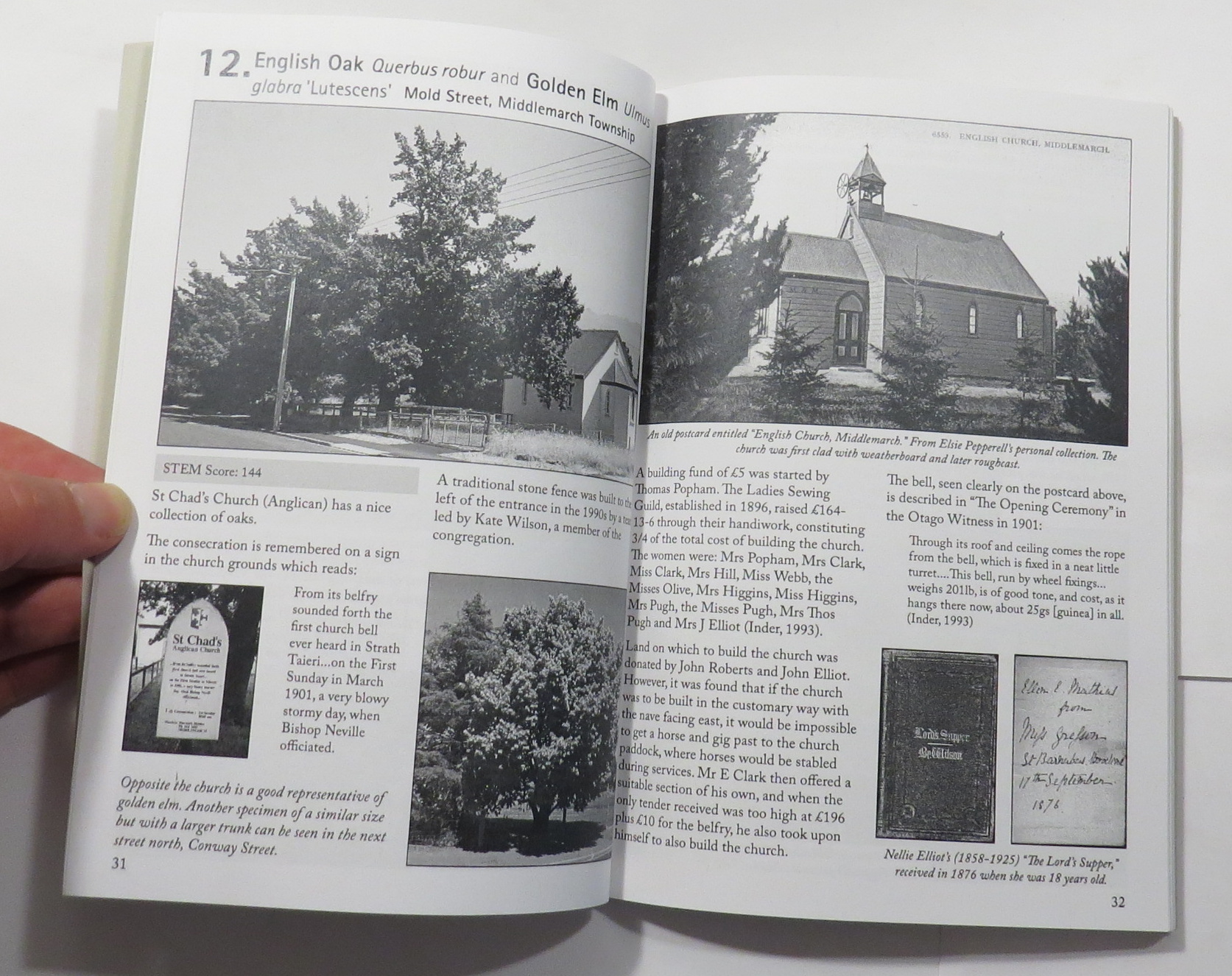 Notable Trees of the Strath Taieri : A Collection of the 22 Best Trees in the Area with Historical Information