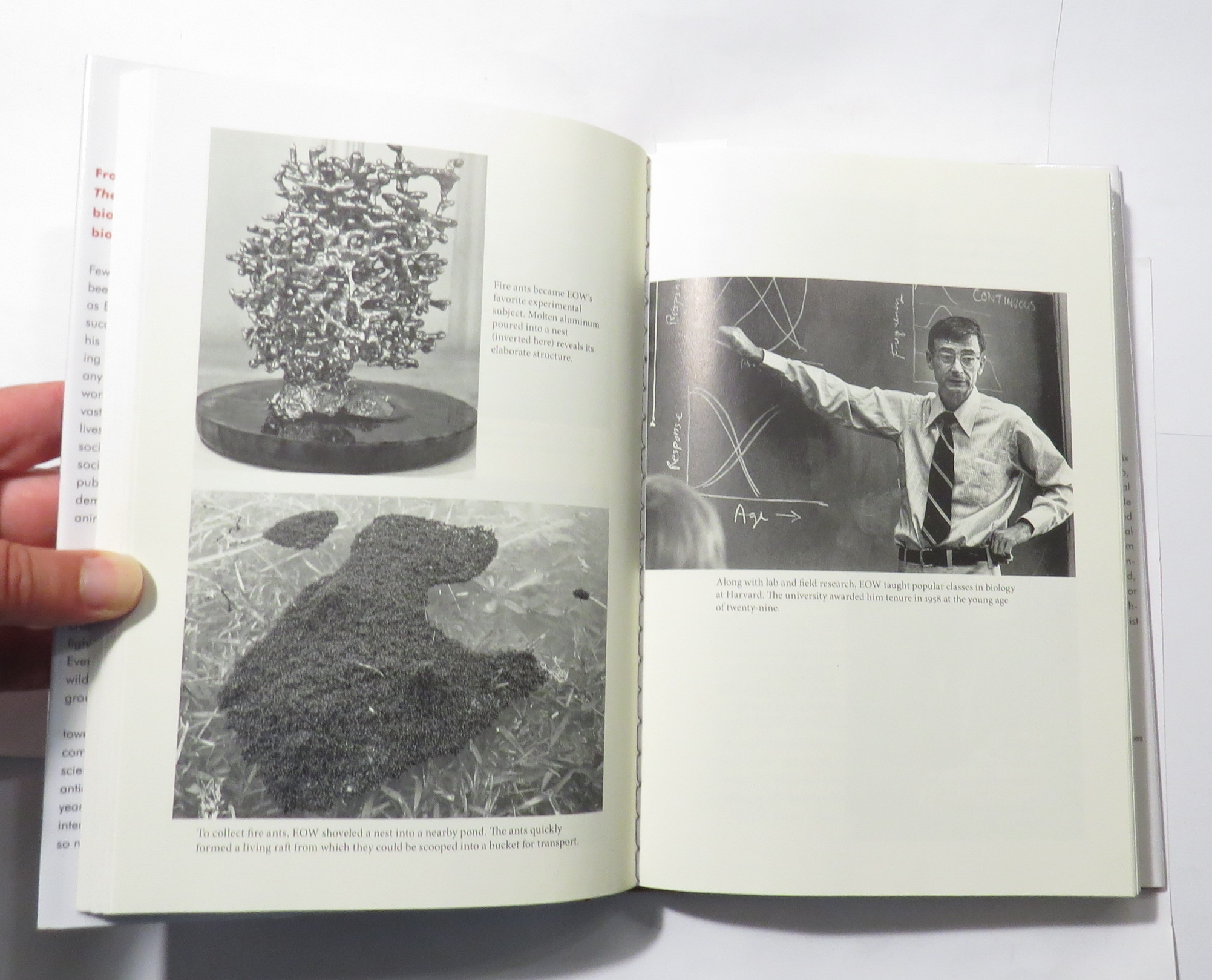 Scientist : E. O. Wilson: A Life in Nature