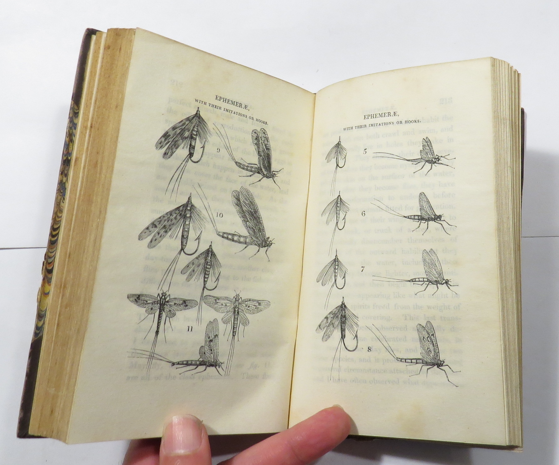 Salmonia: Or Days of Fly Fishing. In a Series of Conversations. With Some Account of the Habits of Fishes Belonging to the Genus Salmo