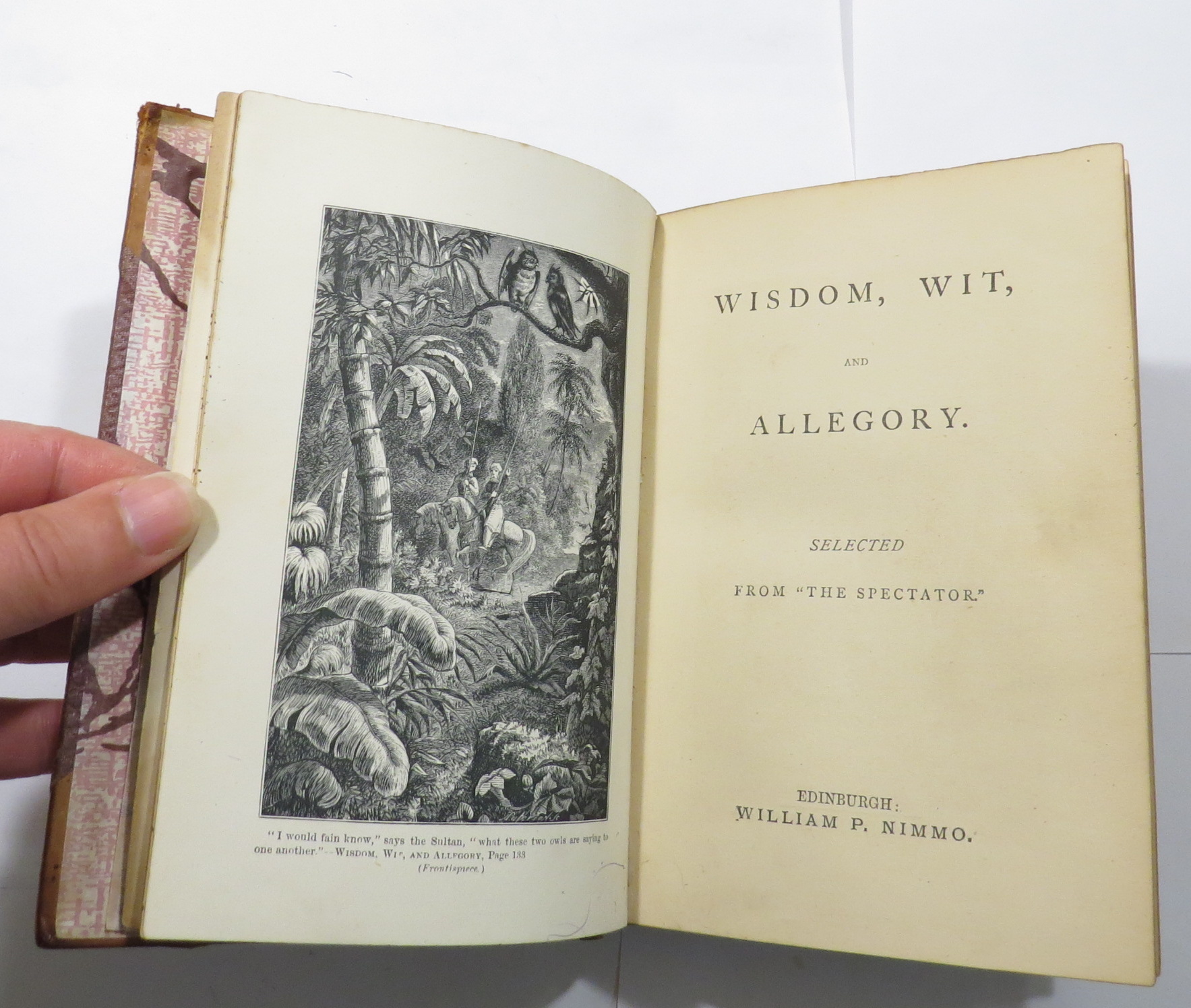 Wisdom, Wit, and Allegory. Selected from 