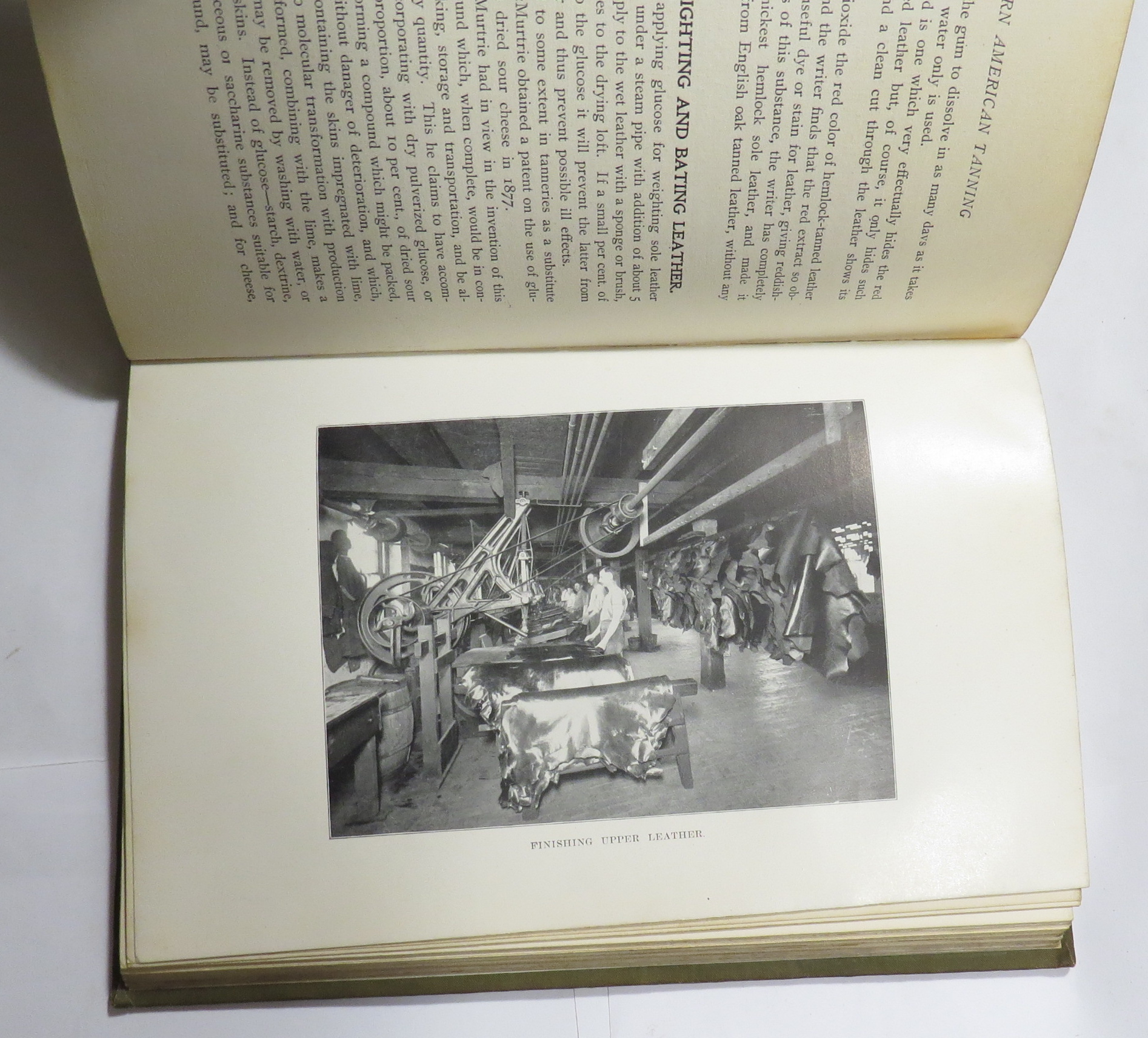 Modern American Tanning : A Practical Treatise on the Manufacture of Leather