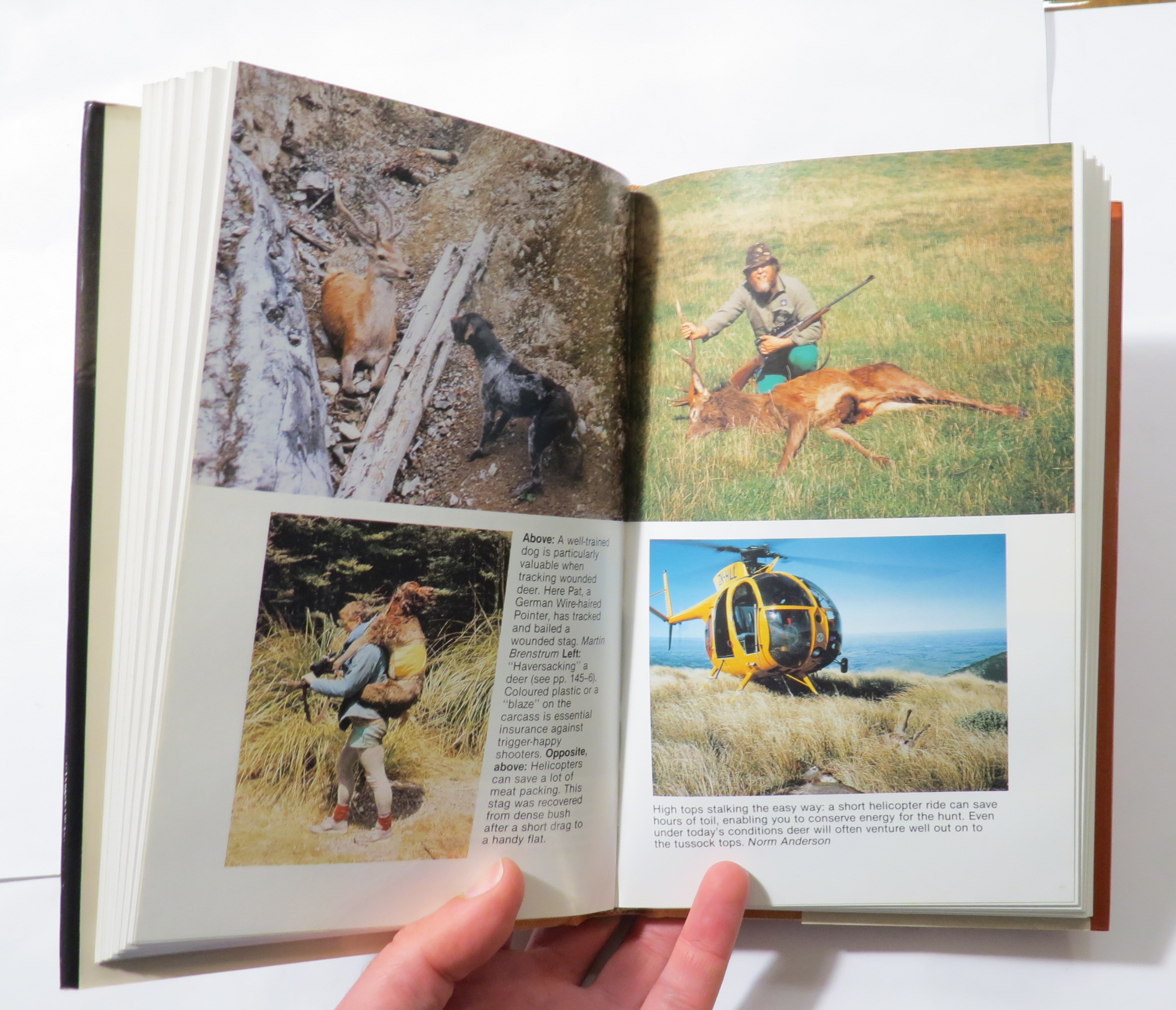 Red Deer in New Zealand : A Complete Hunting Manual